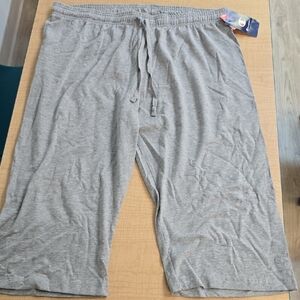 Champion Heather Gray Lounge Pants
